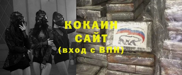 сатива Алзамай