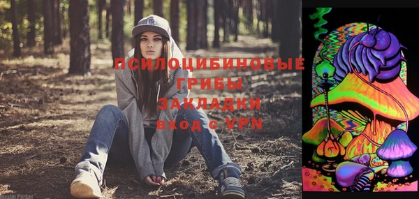 винт Алексин