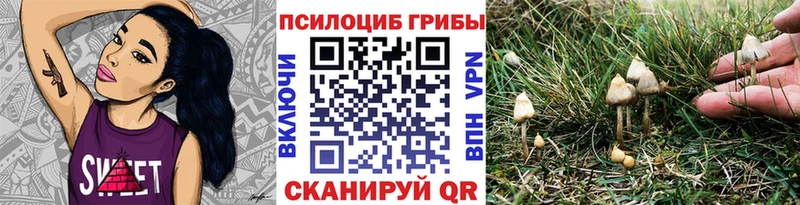 что такое Чадан Галлюциногенные грибы ЛСД